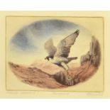 20th Century, a group of six prints relating to birds of prey, each signed and inscribed in