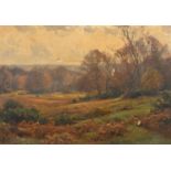 English School, (Late 19th Century), An Autumn landscape, possibly in the New Forest, oil on canvas,