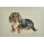 Margaret Palmer (b. 1922) British, a collection of five pastel portraits of dogs, four of them