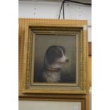 A 19th century English School study of a dog with a mournful expression, oil on canvas in a