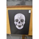 In the manner of Damien Hirst, The Crystal Skull, photographic print on canvas.