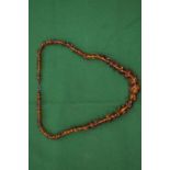 A good small amber graduated bead necklace.