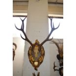 A good large deer skull with six pointer antlers on a decorative carved and gilded plaque.