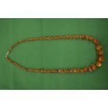 A good graduated amber moon shaped bead necklace.