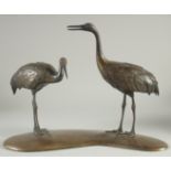 A JAPANESE BRONZE OKIMONO GROUP OF TWO CRANES, mounted to a curving base, 37.5cm long.