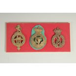 THREE BRONZE BADGES: ROYAL IRISH, EGYPT 18, COUNAUGHT RANGERS, HARP 88.