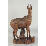 A SUPERB 19TH CENTURY BLACK FOREST CARVING OF A MOUNTAIN GOAT standing alert on a rocky base.