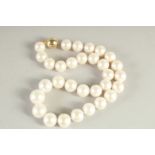 A STRING OF THIRTY LARGE SOUTH SEA PEARLS with gold clasp.
