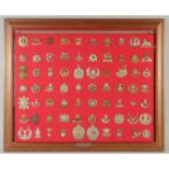 A FRAMED COLLECTION OF 70 BADGES including: ROYAL DUBLIN, CAMERON, THE KINGS LINCOLNSHIRE, NORFOLK -