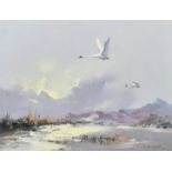 C. Howard Devonald (b. 1944), Swans flying over water with hills beyond, oil on canvas, signed,