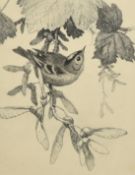 Winifred Marie Louise Austin (1876-1964), 'Goldcrest', etching, signed and inscribed in pencil,