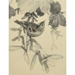 Winifred Marie Louise Austin (1876-1964), 'Goldcrest', etching, signed and inscribed in pencil,