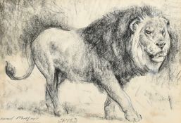 Raoul Millais, 'Saved', study of a lion, charcoal, signed and inscribed, 6.75" x 9.75", (17.