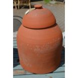 A terracotta rhubarb forcer with cover.