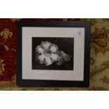 Floral subjects, a set of three black and white photographic prints uniformly framed and glazed