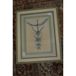 Botanical subjects, colour prints, set of four uniformly framed and glazed together with another set