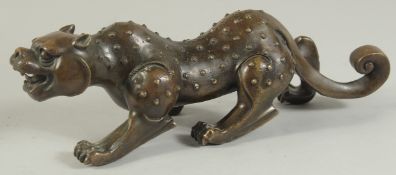 A FINE CHINESE BRONZE FIGURE OF A TIGER, with raised spotted pattern to the body, 26cm long.