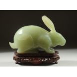 A LARGE CARVED JADE FIGURE OF A RABBIT on a fitted wooden base, 16cm long.