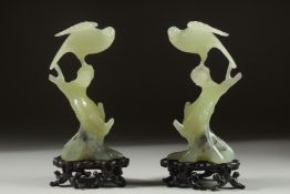 A PAIR OF CARVED JADE BIRDS on fitted wooden stands, 16.5cm high overall.