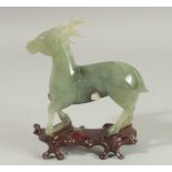 A CARVED JADE FIGURE OF A DEER on a fitted wooden stand, 15cm long.