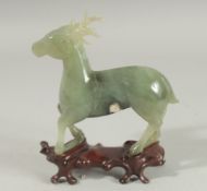 A CARVED JADE FIGURE OF A DEER on a fitted wooden stand, 15cm long.