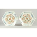A LARGE PAIR OF WUCAI / BLUE AND WHITE PORCELAIN HEXAGONAL DISHES, painted with decorative foliate
