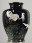 A FINE JAPANESE BLACK GROUND CLOISONNE VASE, beautifully decorated with three red-crowned cranes,