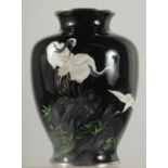 A FINE JAPANESE BLACK GROUND CLOISONNE VASE, beautifully decorated with three red-crowned cranes,