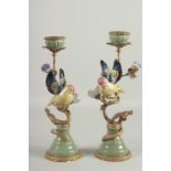 A GOOD PAIR OF PORCELAIN BIRDS AND FLOWER CANDLESTICKS with gilt branches, on arc bases. 13ins
