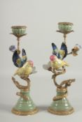 A GOOD PAIR OF PORCELAIN BIRDS AND FLOWER CANDLESTICKS with gilt branches, on arc bases. 13ins