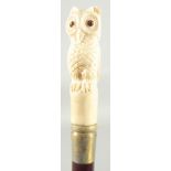 A WALKING STICK WITH CARVED BONE HANDLE ' Owl'.
