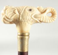 A WALKING STICK WITH CARVED BONE HANDLE 'Elephant'.