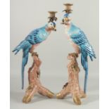 A GOOD LARGE PAIR OF SEVRES DESIGN BLUE PORCELAIN PARAKEET CANDLESTICKS. 20ins high.