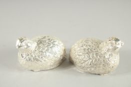 A PAIR OF SMALL SILVER PLATED PARTRIDGE SALT AND PEPPERS.