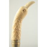 A WALKING STICK with carved bone handle, 'BIRD'.