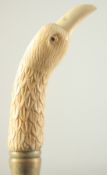 A WALKING STICK with carved bone handle, 'BIRD'.