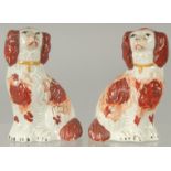 A SMALL PAIR OF STAFFORDSHIRE KING CHARLES SPANIELS 3.75ins high.