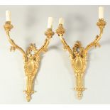 A PAIR OF LOUIS XVITH DESIGN GILT BRONZE TWO LIGHT WALL SCONCES. 16ins long.
