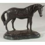 A BRONZE HORSE on a marble base. 10ins high.