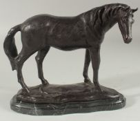 A BRONZE HORSE on a marble base. 10ins high.