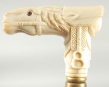 A WALKING STICK WITH CARVED BONE HANDLE 'Horse's Head'.