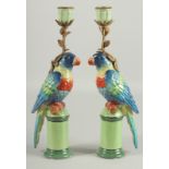 A PAIR OF PORCELAIN PARAKEET CANDLESTICKS with gilt leaves on pedestal bases. 12.5ins high.