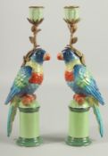 A PAIR OF PORCELAIN PARAKEET CANDLESTICKS with gilt leaves on pedestal bases. 12.5ins high.