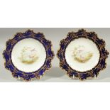 A PAIR OF ROYAL CROWN DERBY PLATES with moulded border, gilt on cobalt blue, the centres painted