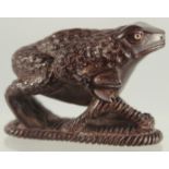 A CARVED WOOD FROG. 2.5ins long. Signed.