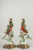 A GOOD PAIR OF CONTINENTAL RED PARROT AND FRUIT CANDLESTICKS on ormolu mounts. 14ns high.