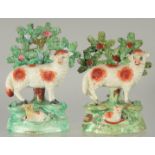 A PAIR OF STAFFORDSHIRE BOCAGE GROUP OF SHEEP with lambs, with bocage backs.