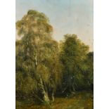 Late 19th Century A study of trees, oil on panel, 20.75" x 14.75", (52.5x37.5cm) (unframed).