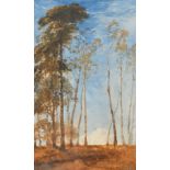 20th Century, a study of trees in a landscape, watercolour, indistinctly signed and inscribed '
