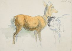Circle of Robert Hills (19th Century), A study of Deer, inscribed and dated in pencil, watercolour